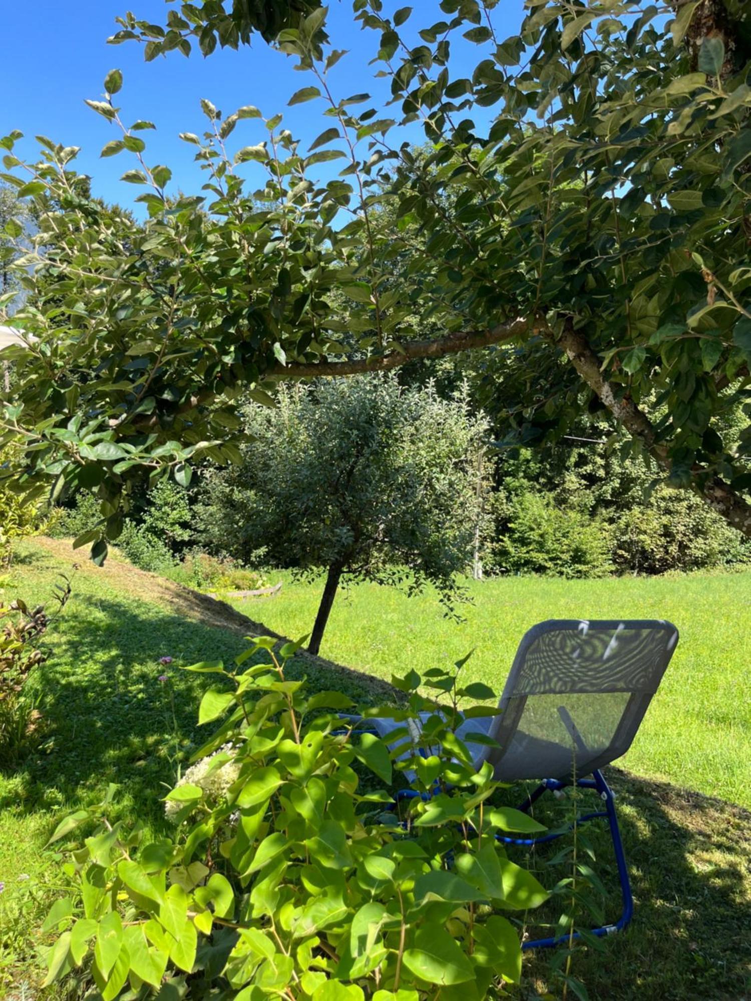 Ferienwohnung Waldhauser Hermagor-Pressegger See Esterno foto